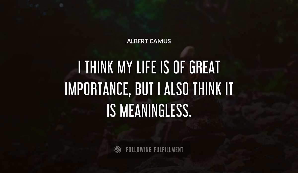 i think my life is of great importance but i also think it is meaningless Albert Camus quote