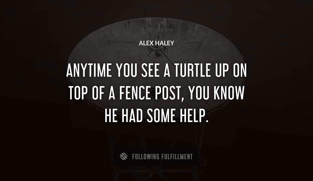 anytime you see a turtle up on top of a fence post you know he had some help Alex Haley quote