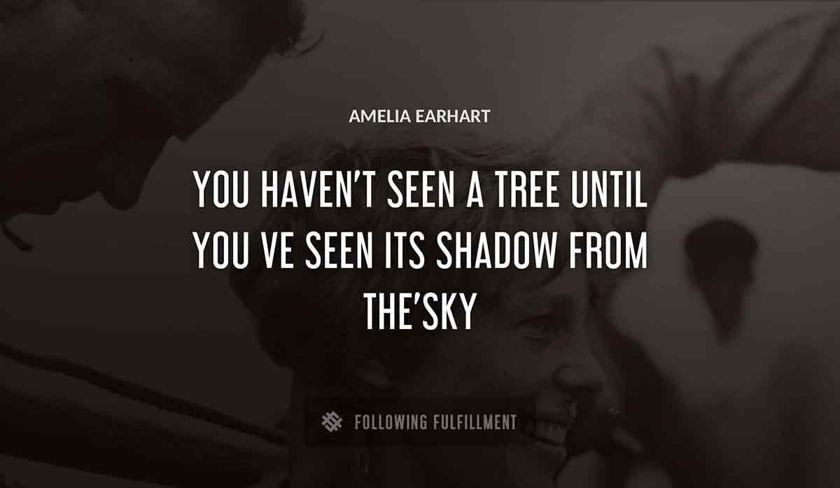 you haven t seen a tree until you ve seen its shadow from the sky Amelia Earhart quote