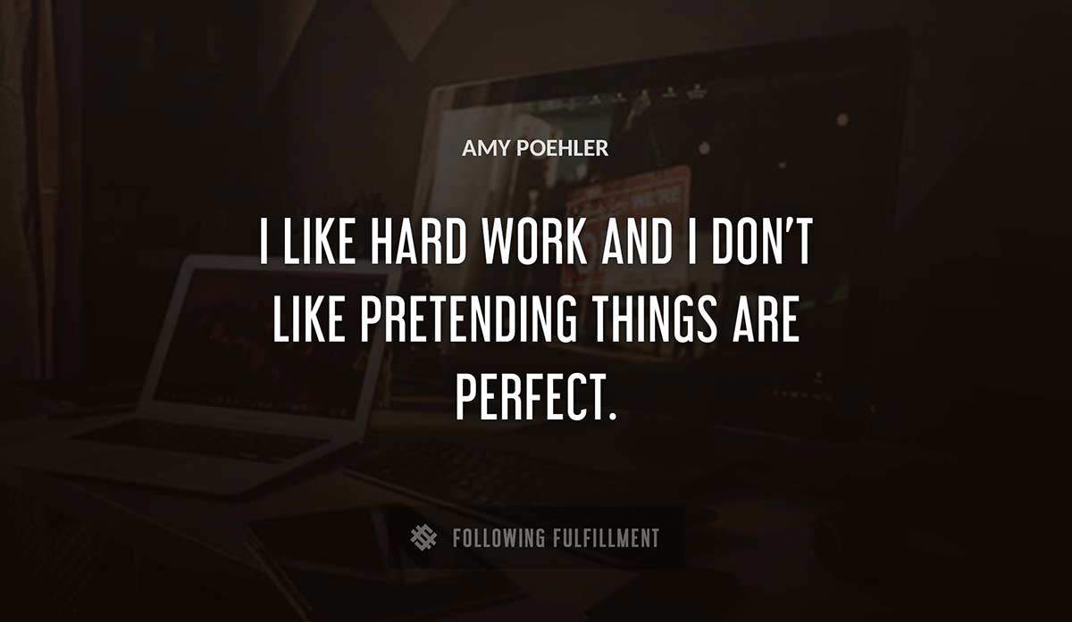i like hard work and i don t like pretending things are perfect Amy Poehler quote