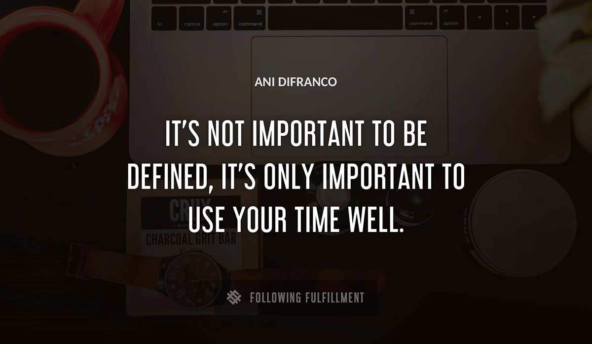it s not important to be defined it s only important to use your time well Ani Difranco quote