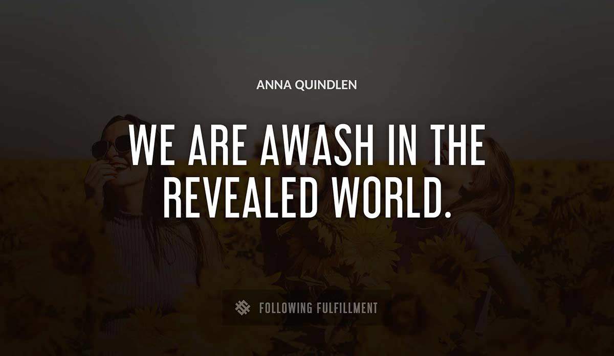we are awash in the revealed world Anna Quindlen quote