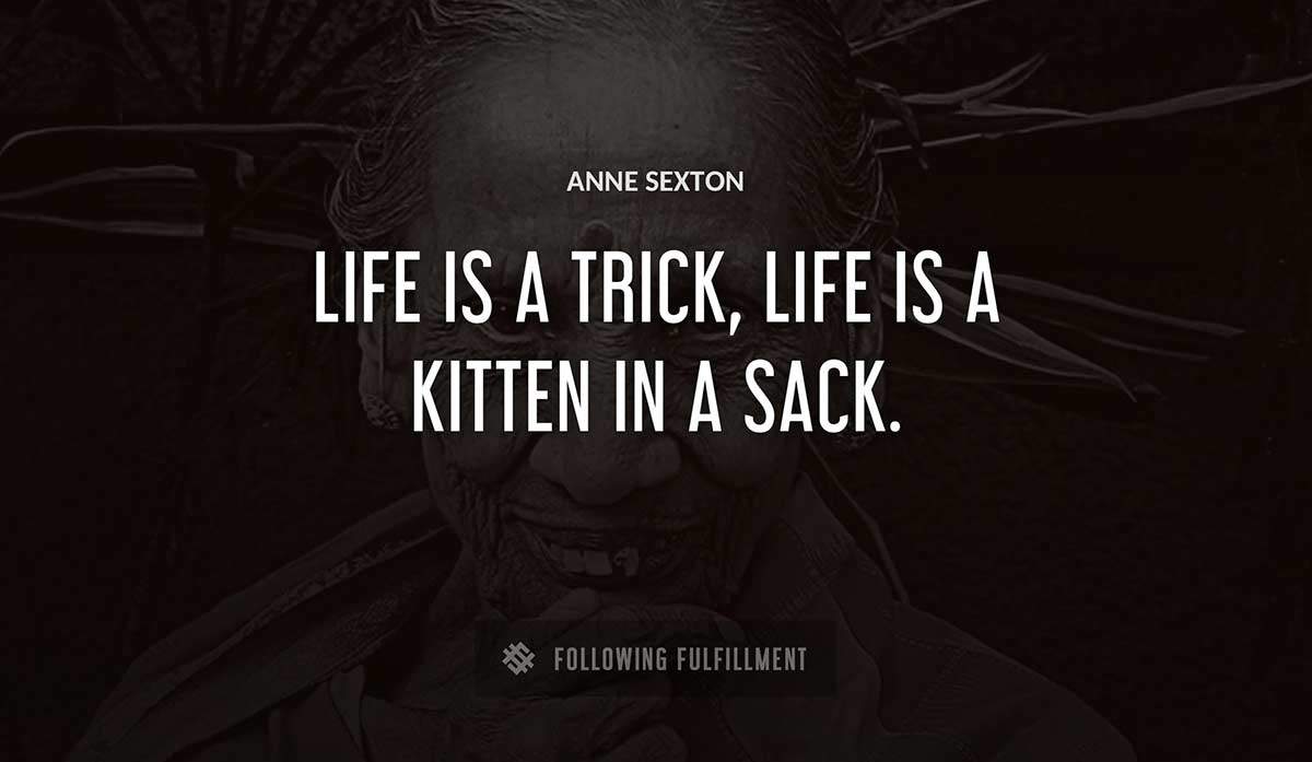 life is a trick life is a kitten in a sack Anne Sexton quote