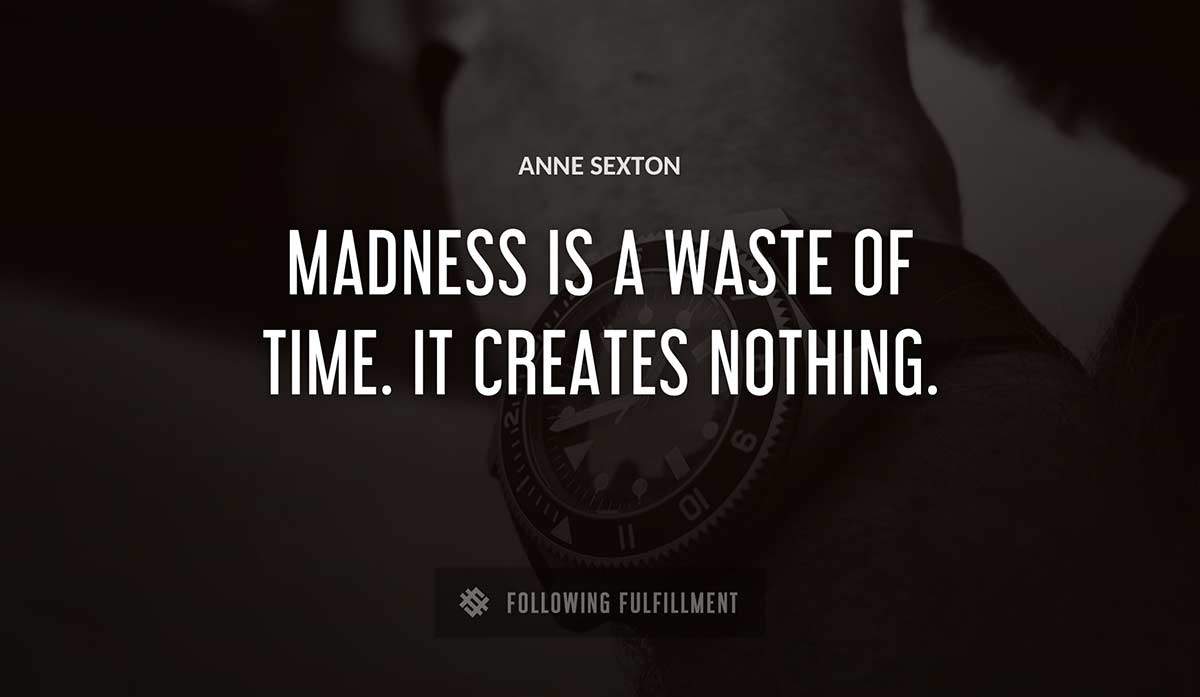 madness is a waste of time it creates nothing Anne Sexton quote
