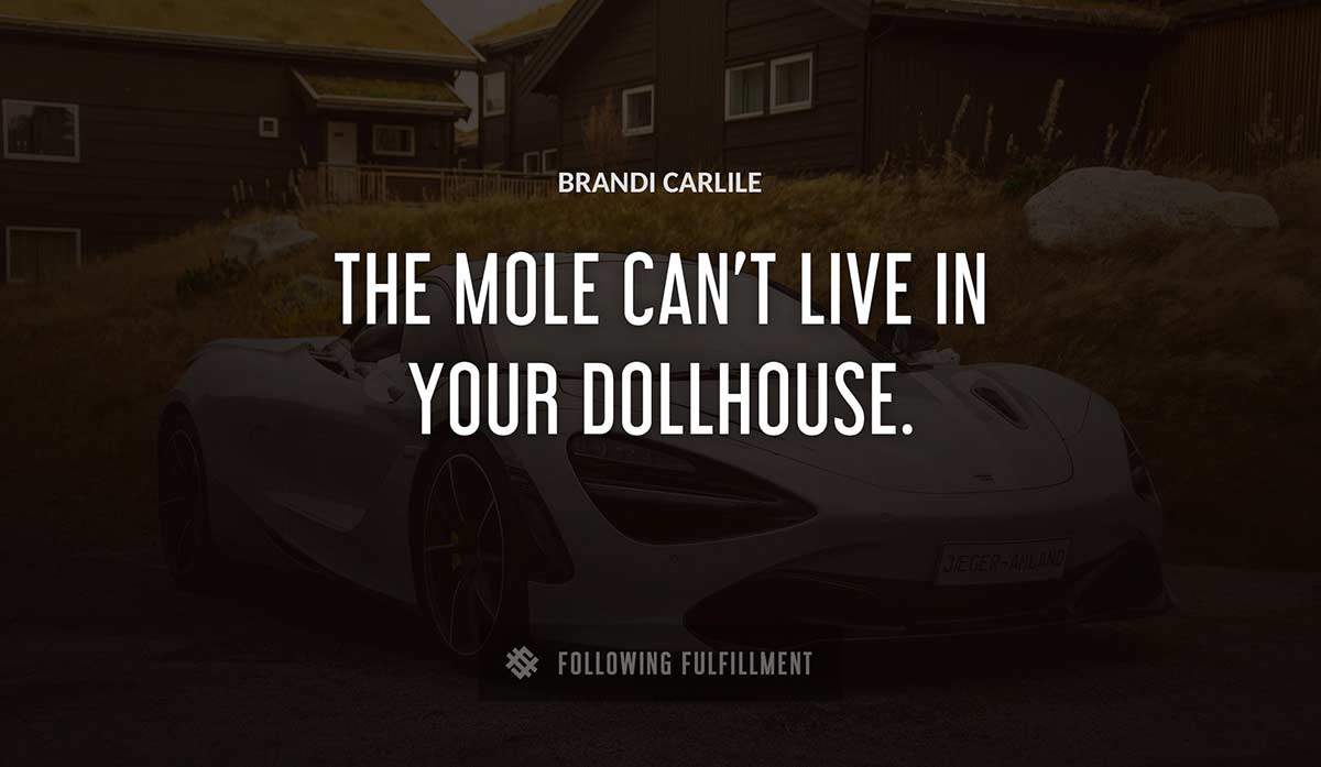 the mole can t live in your dollhouse Brandi Carlile quote
