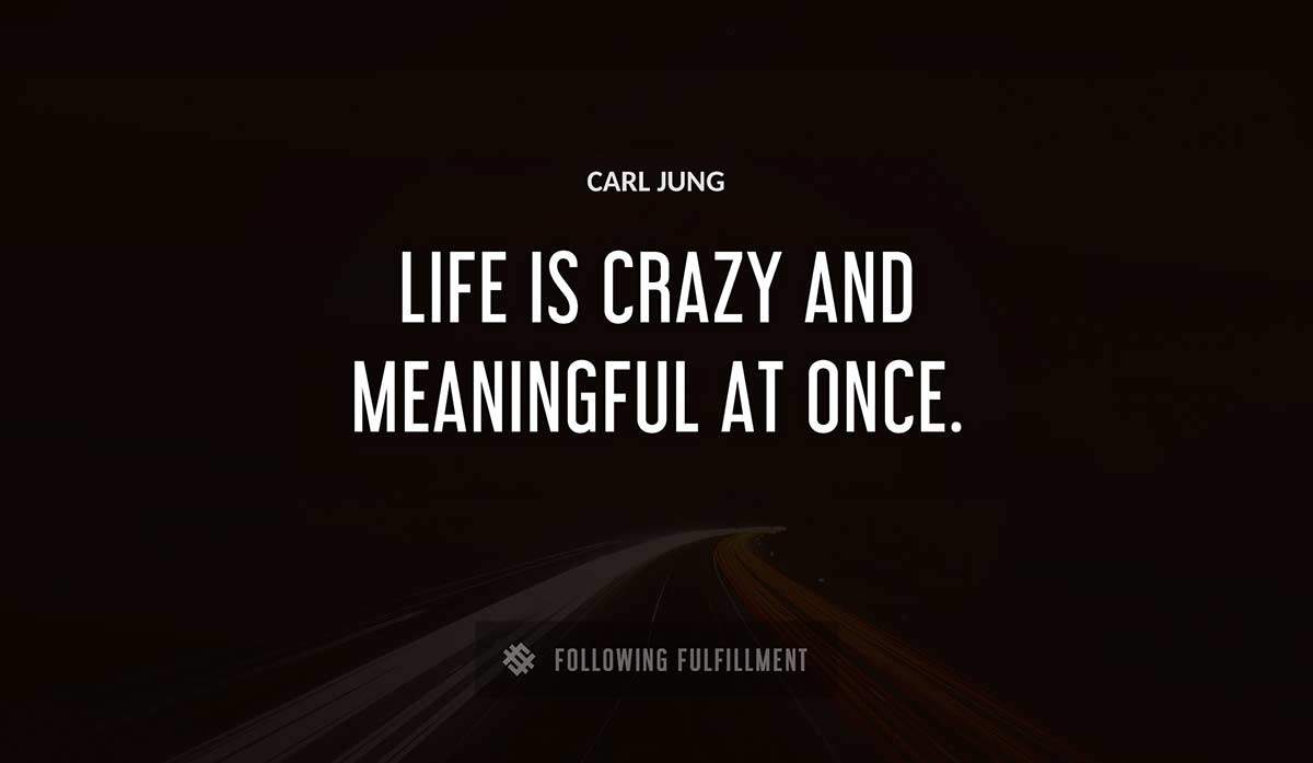 life is crazy and meaningful at once Carl Jung quote