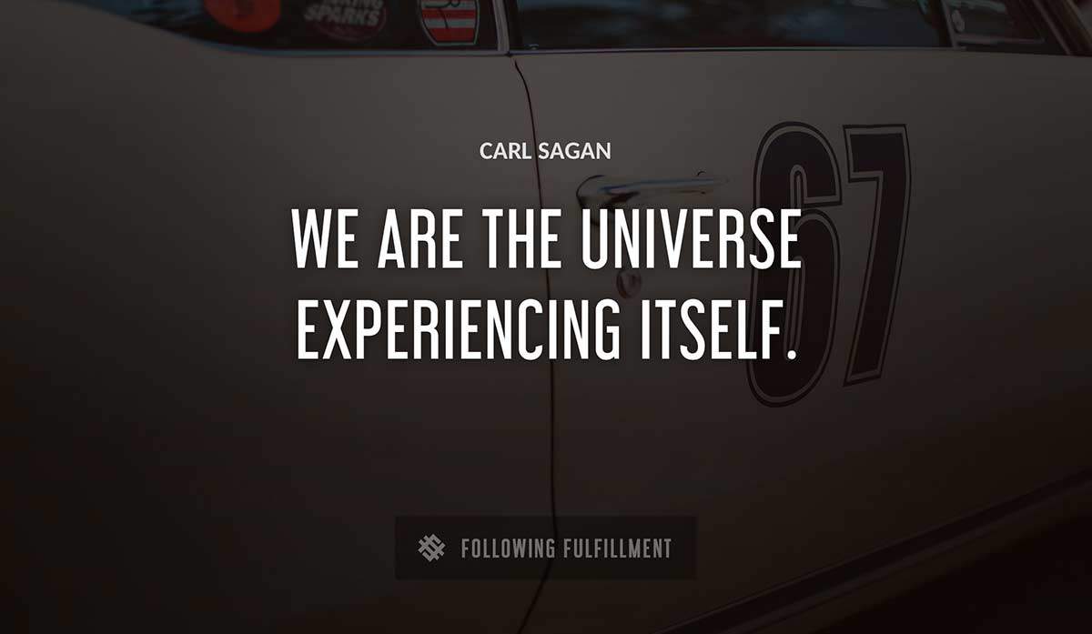 we are the universe experiencing itself Carl Sagan quote