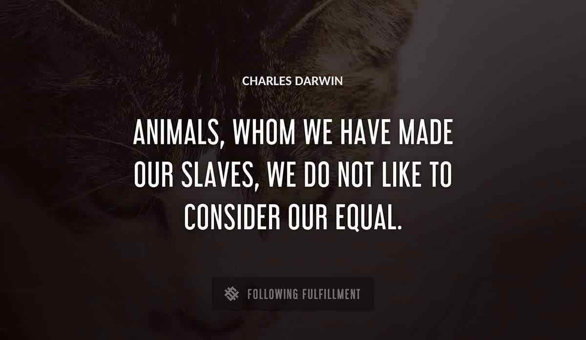 animals whom we have made our slaves we do not like to consider our equal Charles Darwin quote