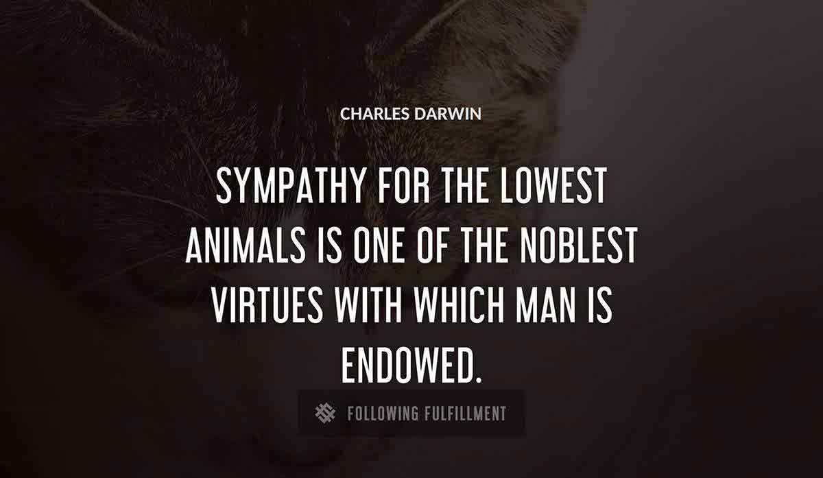 sympathy for the lowest animals is one of the noblest virtues with which man is endowed Charles Darwin quote