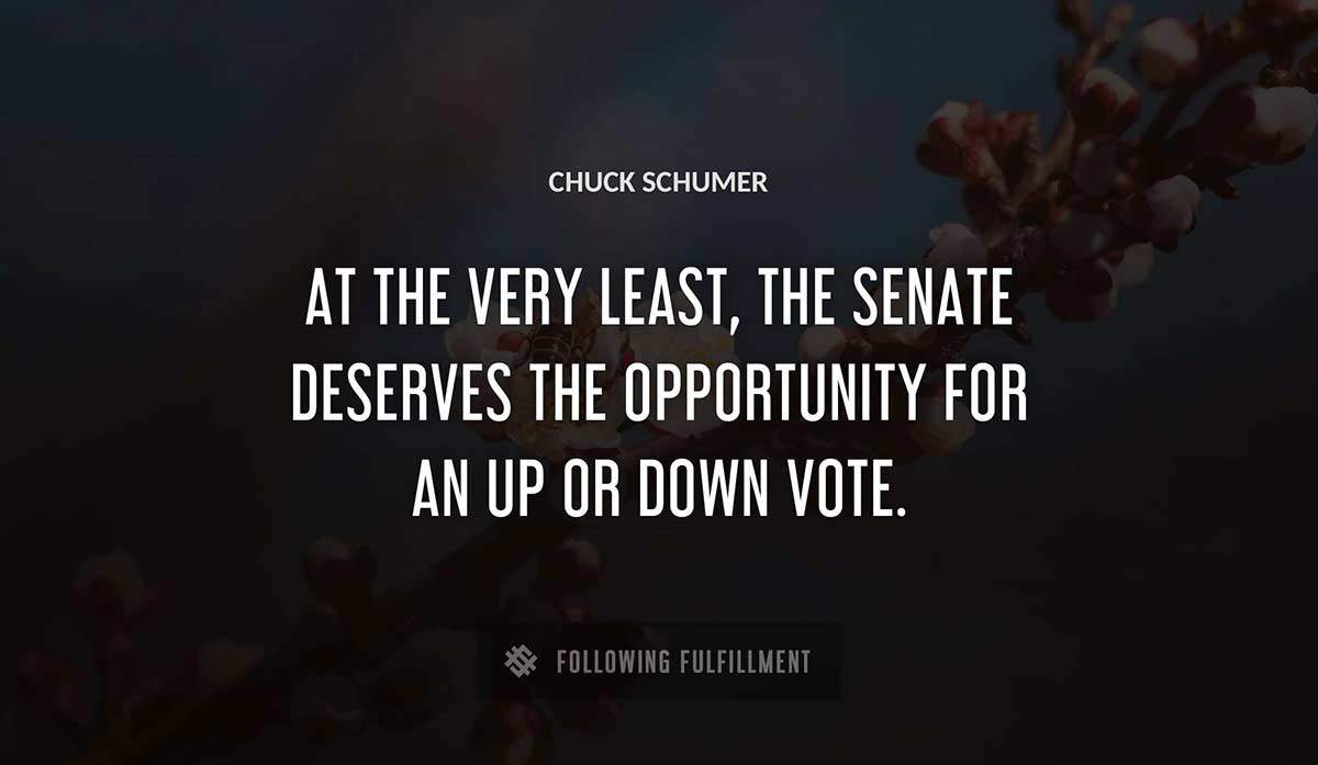 at the very least the senate deserves the opportunity for an up or down vote Chuck Schumer quote