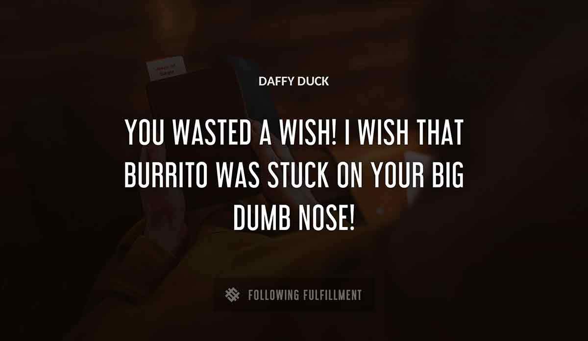 you wasted a wish i wish that burrito was stuck on your big dumb nose Daffy Duck quote