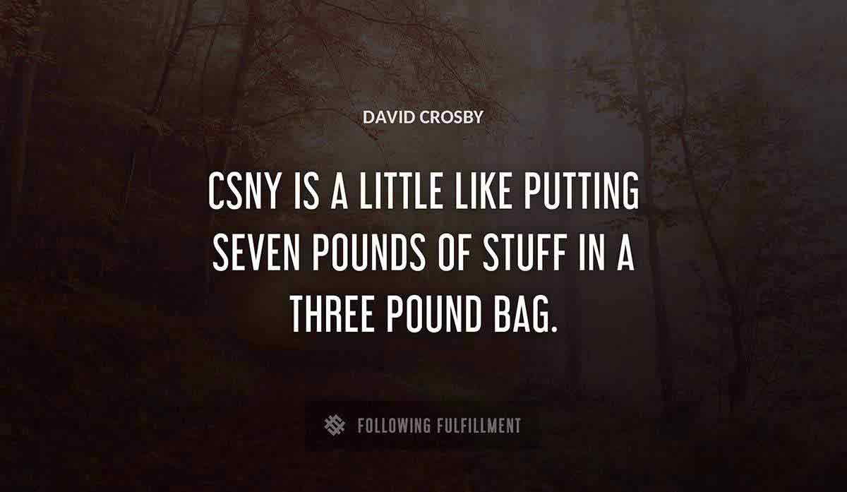 csny is a little like putting seven pounds of stuff in a three pound bag David Crosby quote