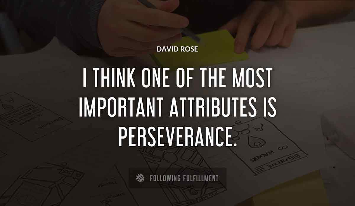 i think one of the most important attributes is perseverance David Rose quote