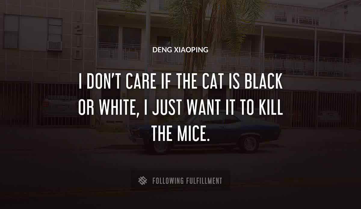 i don t care if the cat is black or white i just want it to kill the mice Deng Xiaoping quote