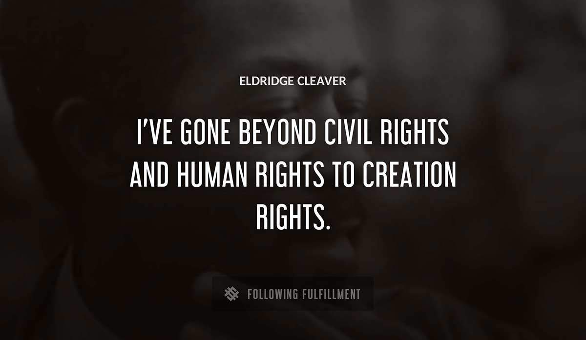 i ve gone beyond civil rights and human rights to creation rights Eldridge Cleaver quote