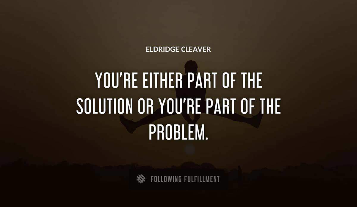 you re either part of the solution or you re part of the problem Eldridge Cleaver quote