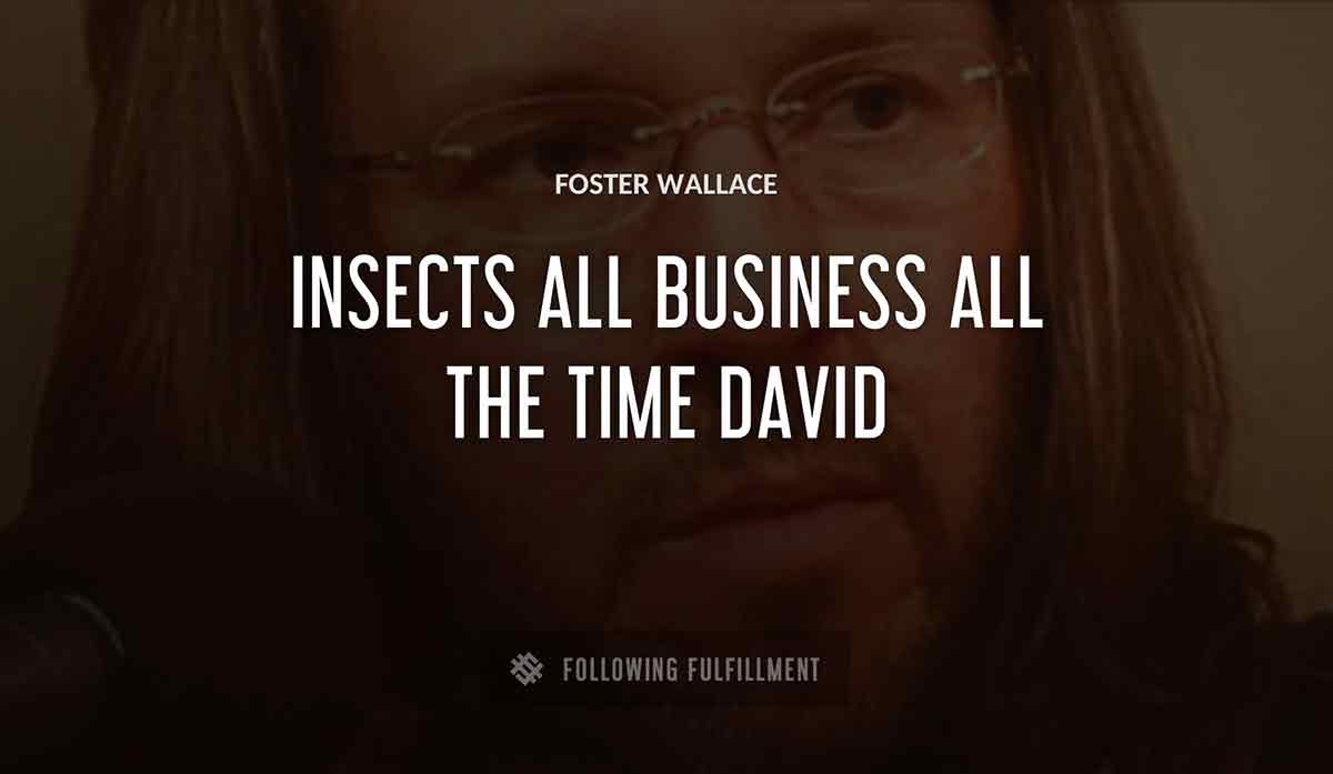 insects all business all the time david Foster Wallace quote