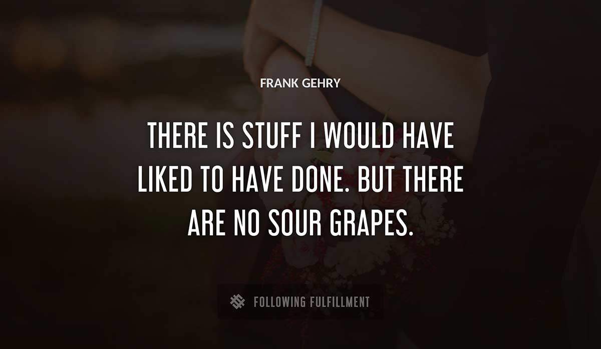 there is stuff i would have liked to have done but there are no sour grapes Frank Gehry quote