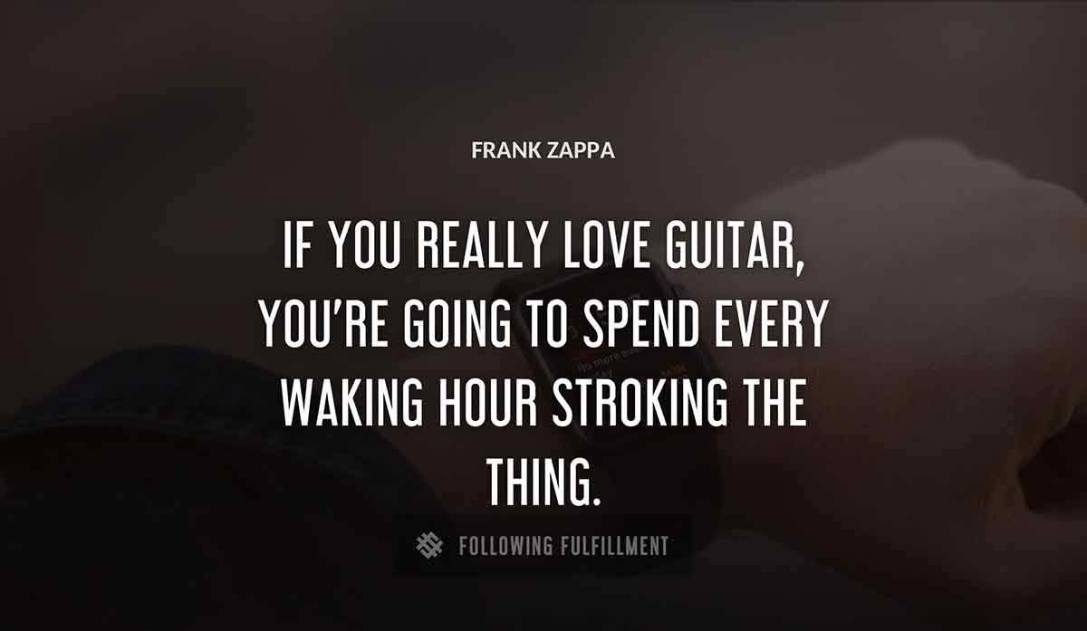 if you really love guitar you re going to spend every waking hour stroking the thing Frank Zappa quote