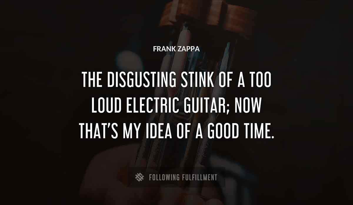 the disgusting stink of a too loud electric guitar now that s my idea of a good time Frank Zappa quote