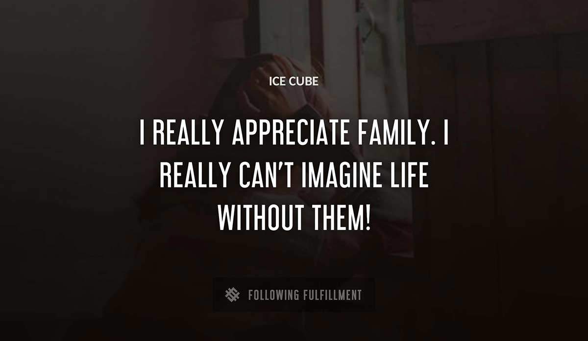 i really appreciate family i really can t imagine life without them Ice Cube quote