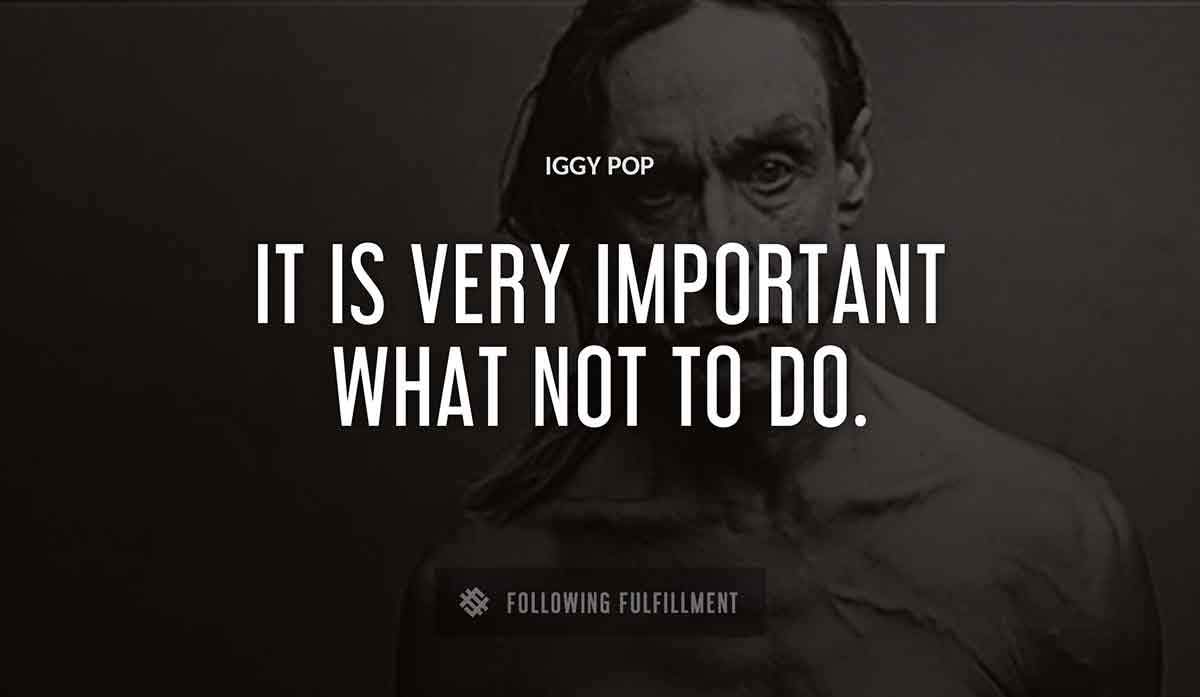it is very important what not to do Iggy Pop quote