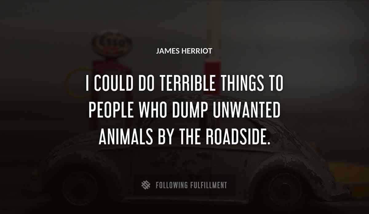 i could do terrible things to people who dump unwanted animals by the roadside James Herriot quote
