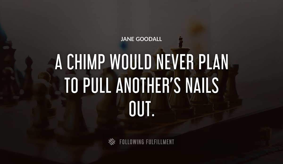 a chimp would never plan to pull another s nails out Jane Goodall quote