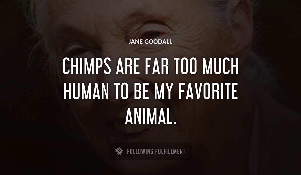 chimps are far too much human to be my favorite animal Jane Goodall quote