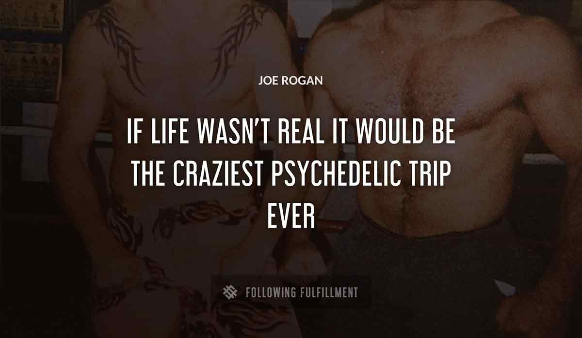 if life wasn t real it would be the craziest psychedelic trip ever Joe Rogan quote