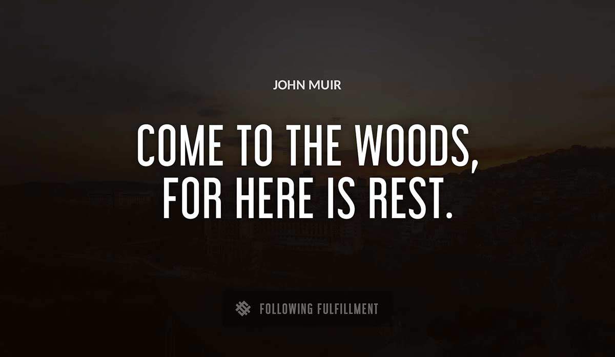 come to the woods for here is rest John Muir quote