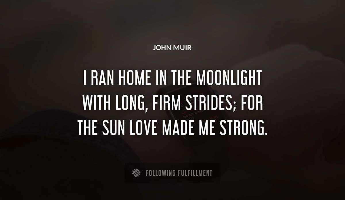 i ran home in the moonlight with long firm strides for the sun love made me strong John Muir quote