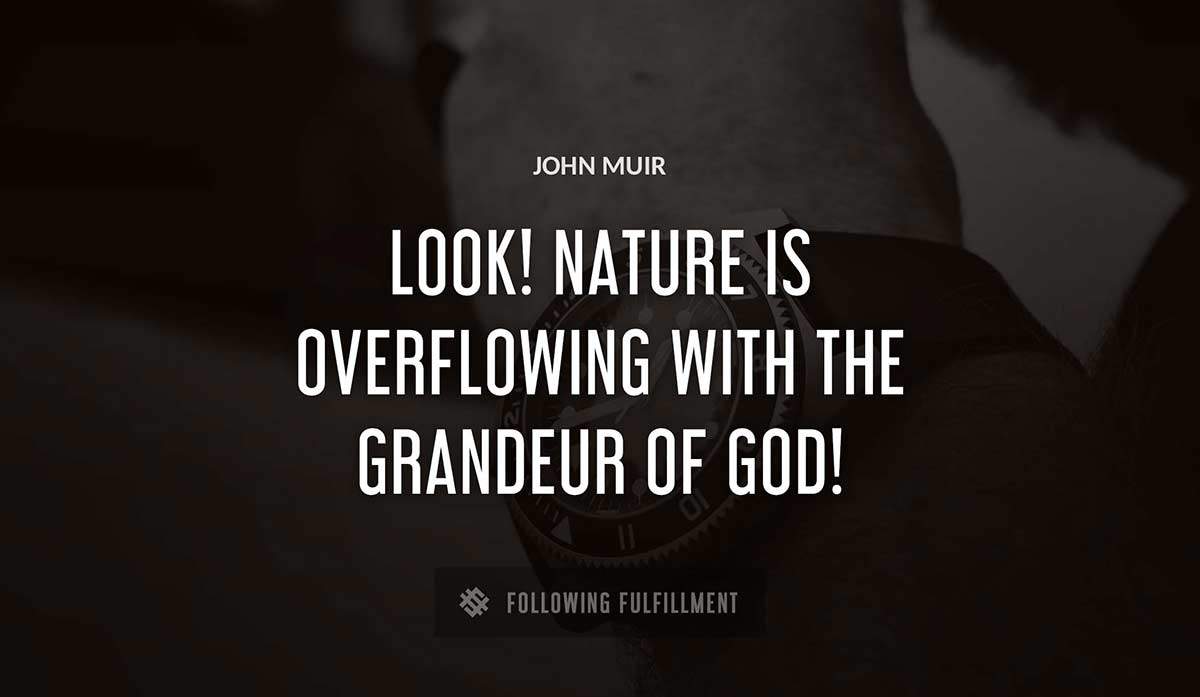 look nature is overflowing with the grandeur of god John Muir quote