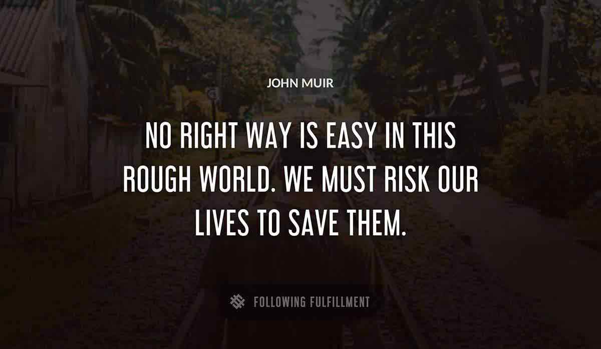 no right way is easy in this rough world we must risk our lives to save them John Muir quote