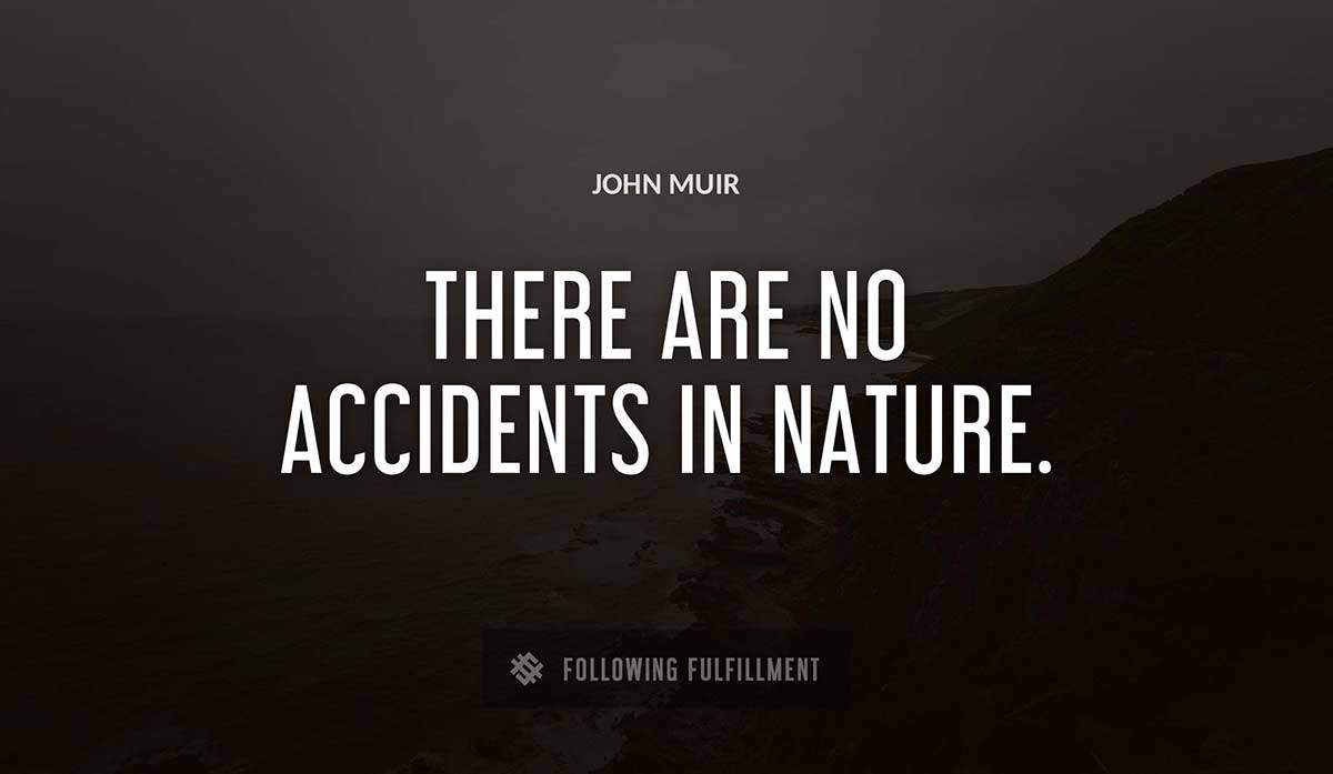 there are no accidents in nature John Muir quote