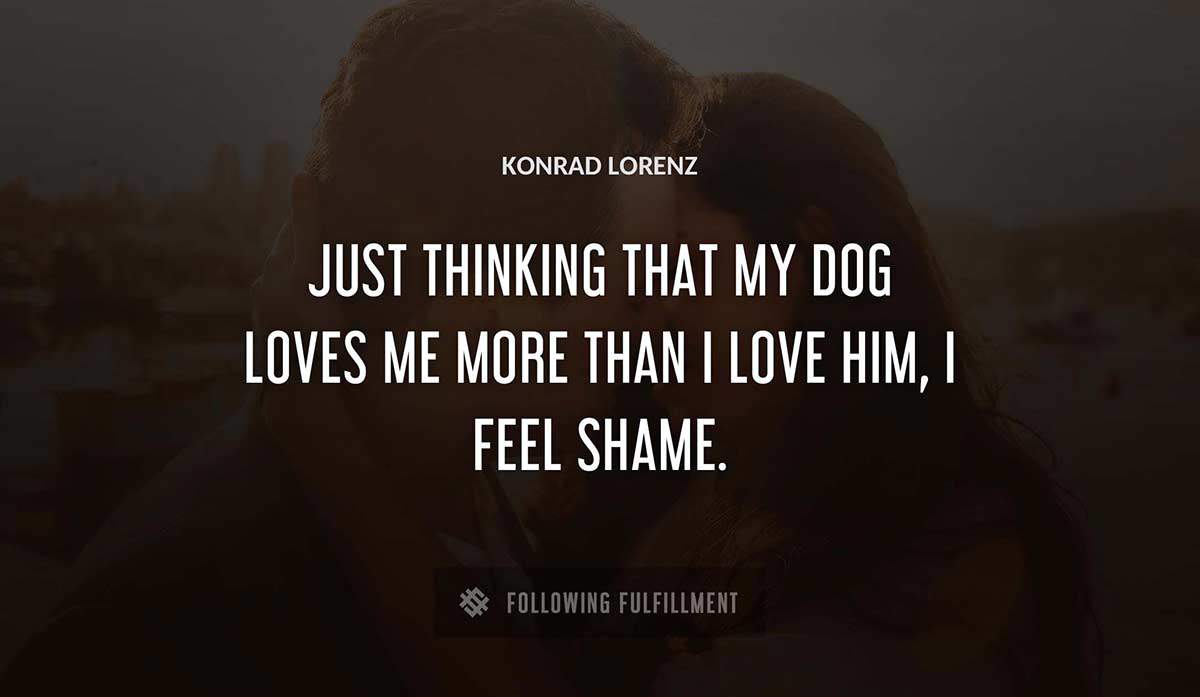 just thinking that my dog loves me more than i love him i feel shame Konrad Lorenz quote