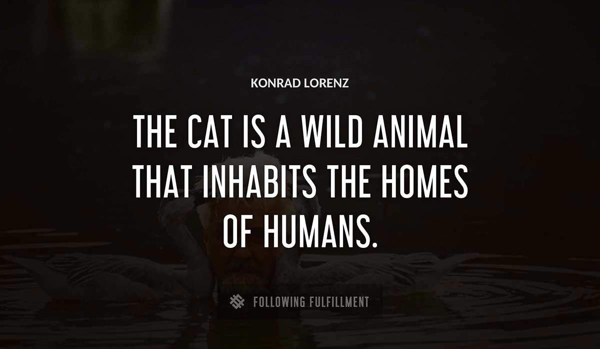 the cat is a wild animal that inhabits the homes of humans Konrad Lorenz quote