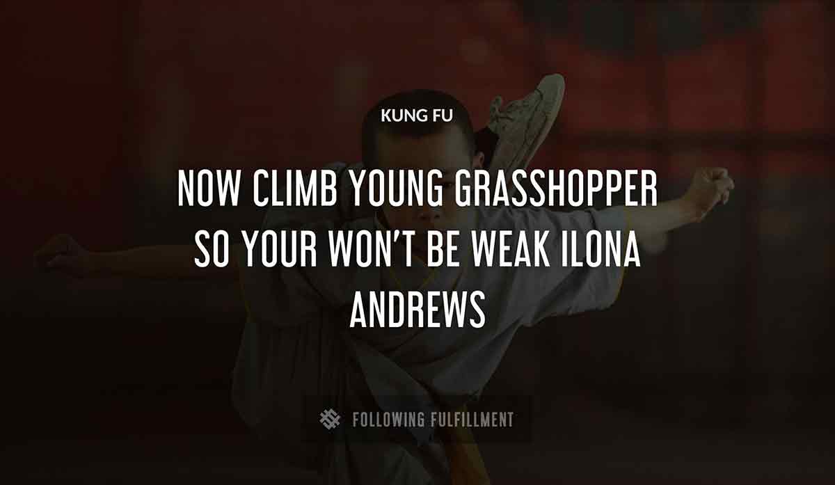 now climb young grasshopper so your Kung Fu won t be weak ilona andrews quote