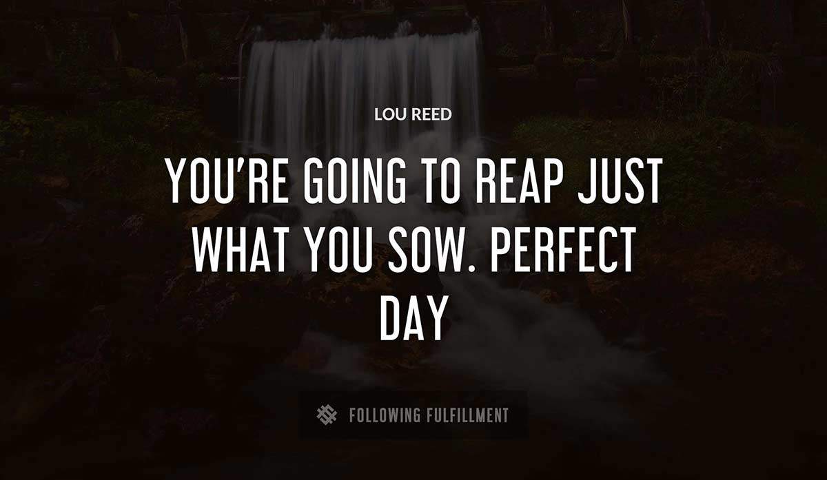 you re going to reap just what you sow perfect day Lou Reed quote