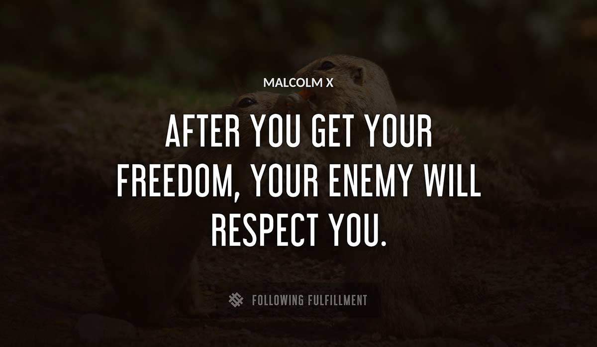 after you get your freedom your enemy will respect you Malcolm X quote