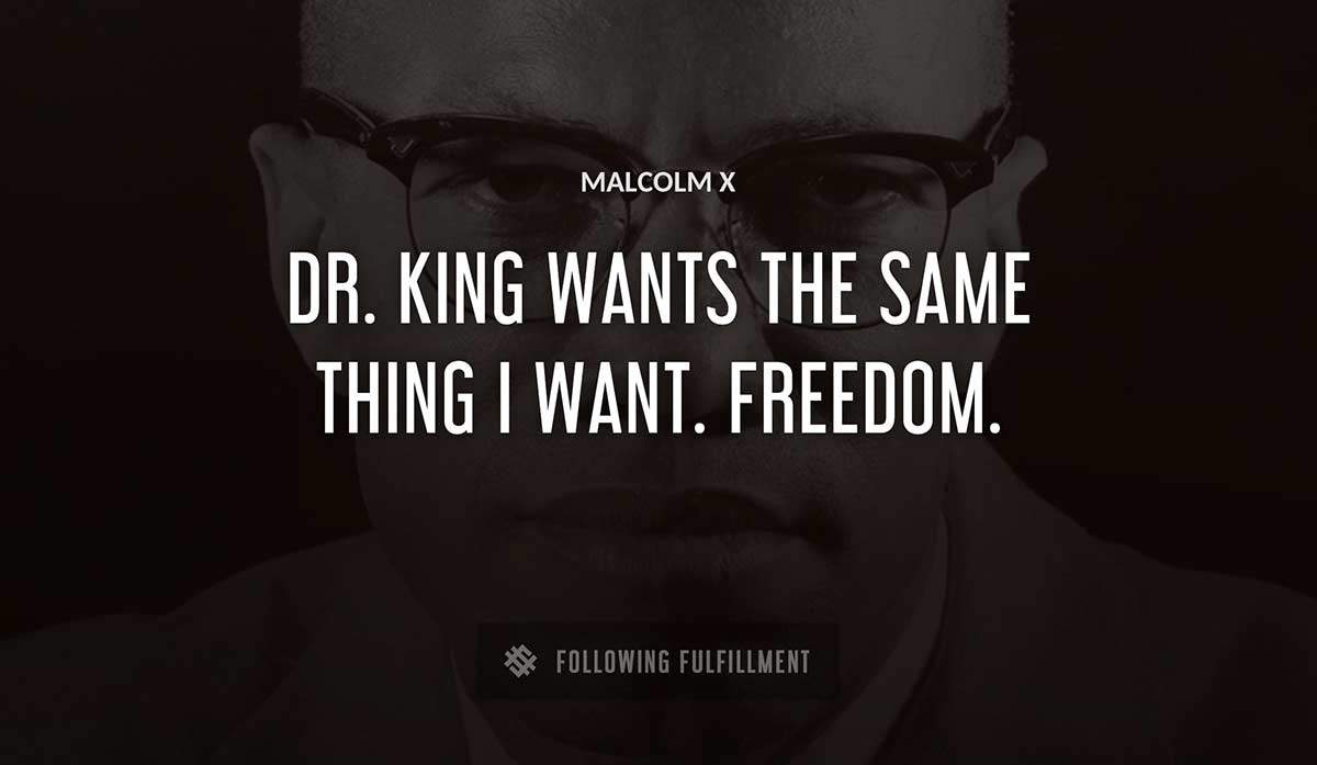 dr king wants the same thing i want freedom Malcolm X quote