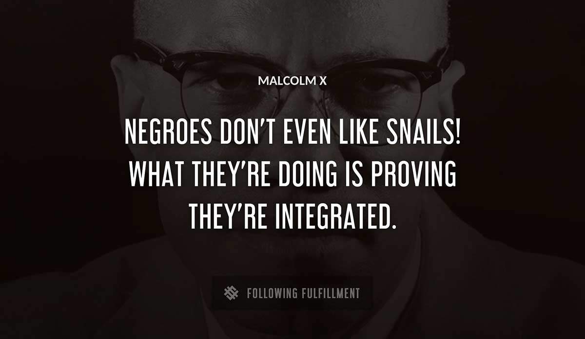 negroes don t even like snails what they re doing is proving they re integrated Malcolm X quote