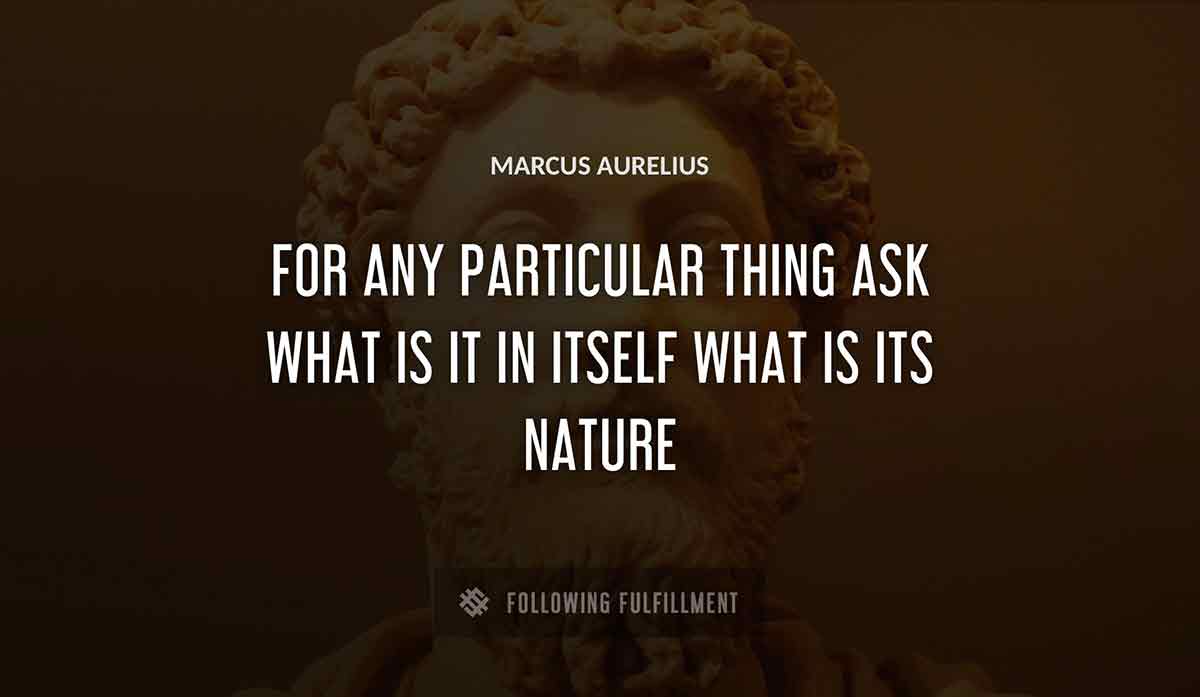 for any particular thing ask what is it in itself what is its nature Marcus Aurelius quote
