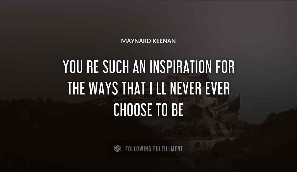 you re such an inspiration for the ways that i ll never ever choose to be Maynard Keenan quote