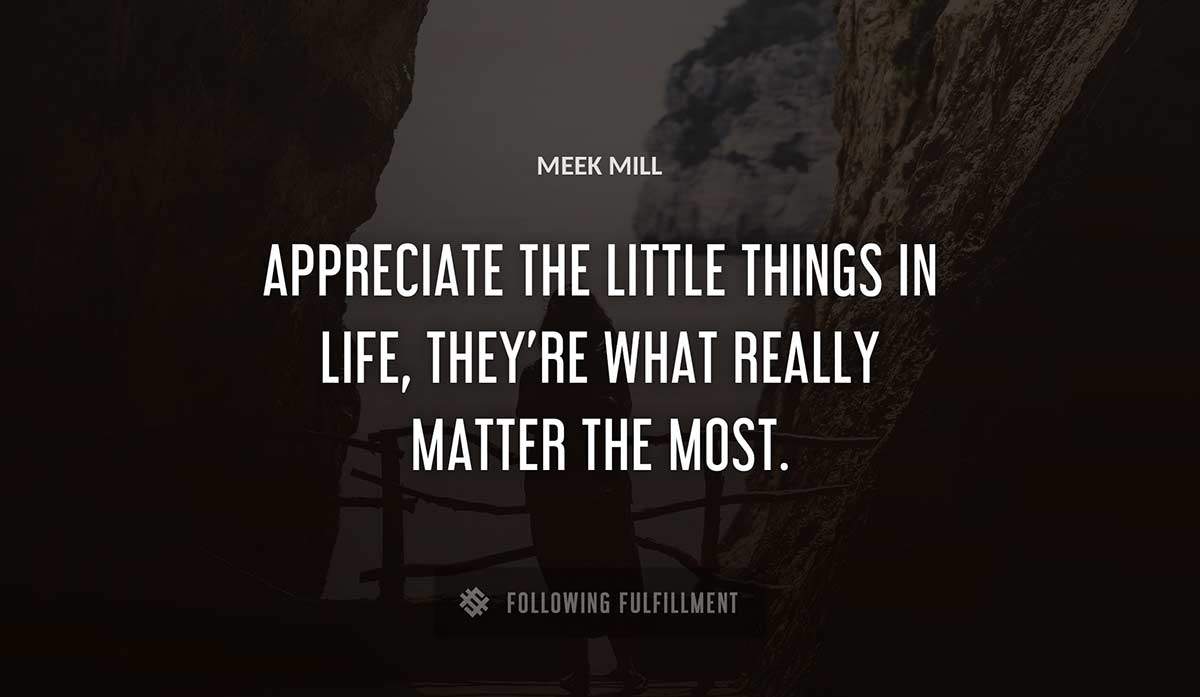 appreciate the little things in life they re what really matter the most Meek Mill quote