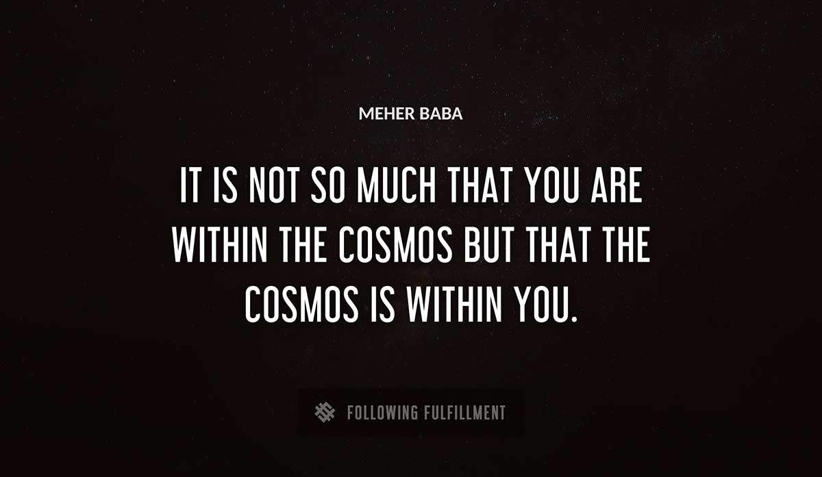 it is not so much that you are within the cosmos but that the cosmos is within you Meher Baba quote