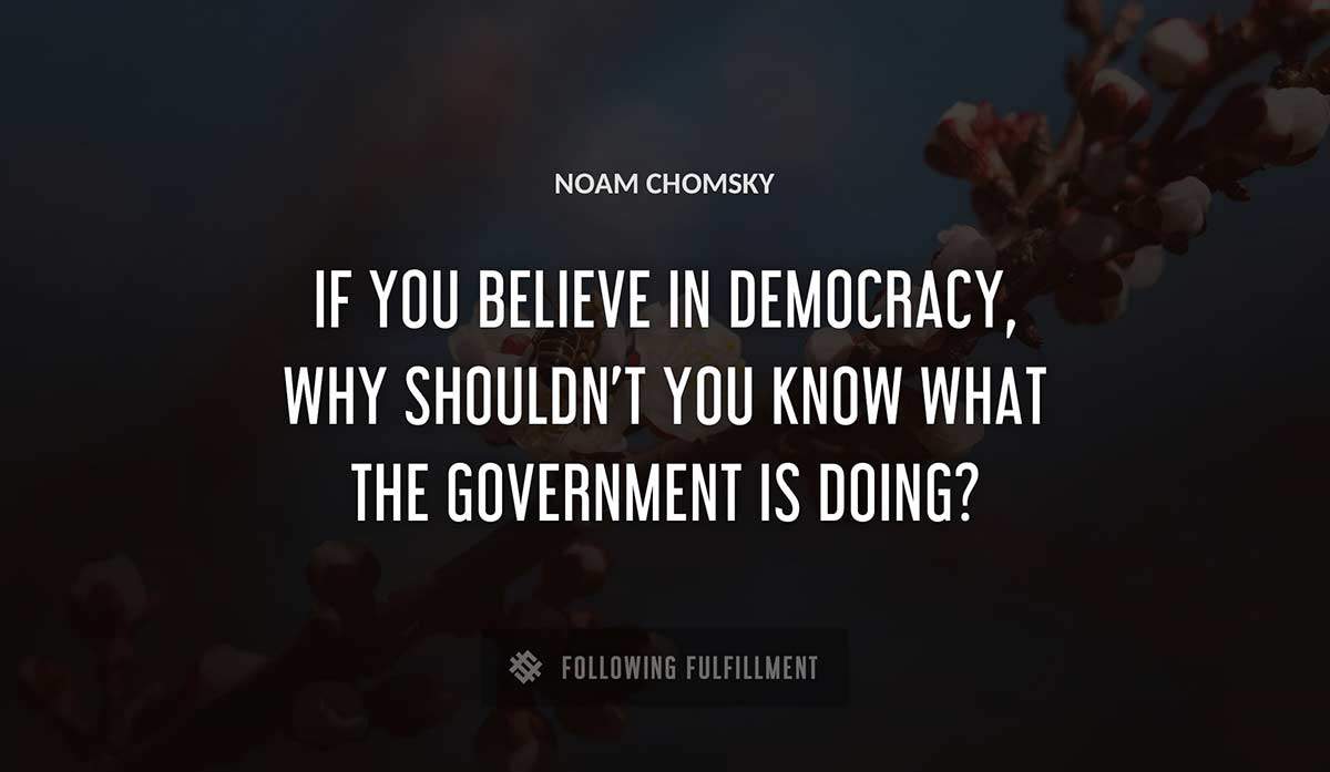 if you believe in democracy why shouldn t you know what the government is doing Noam Chomsky quote