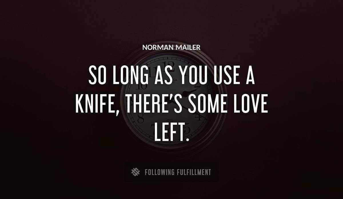 so long as you use a knife there s some love left Norman Mailer quote