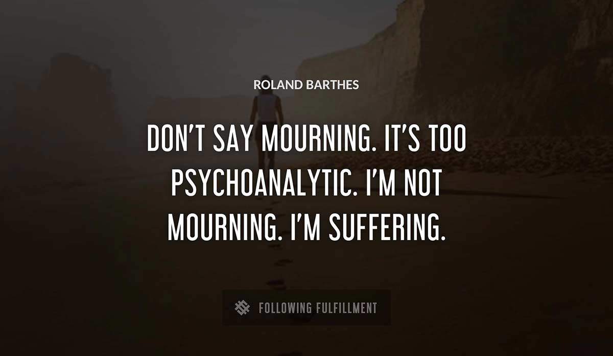 don t say mourning it s too psychoanalytic i m not mourning i m suffering Roland Barthes quote