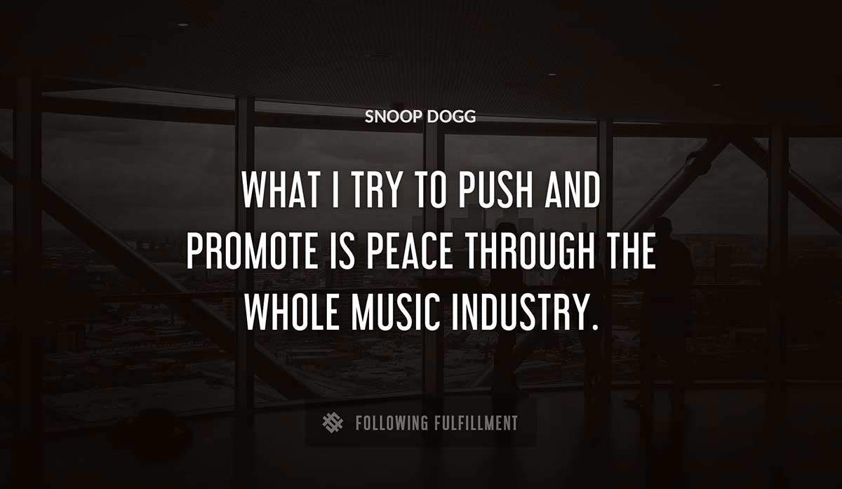 what i try to push and promote is peace through the whole music industry Snoop Dogg quote